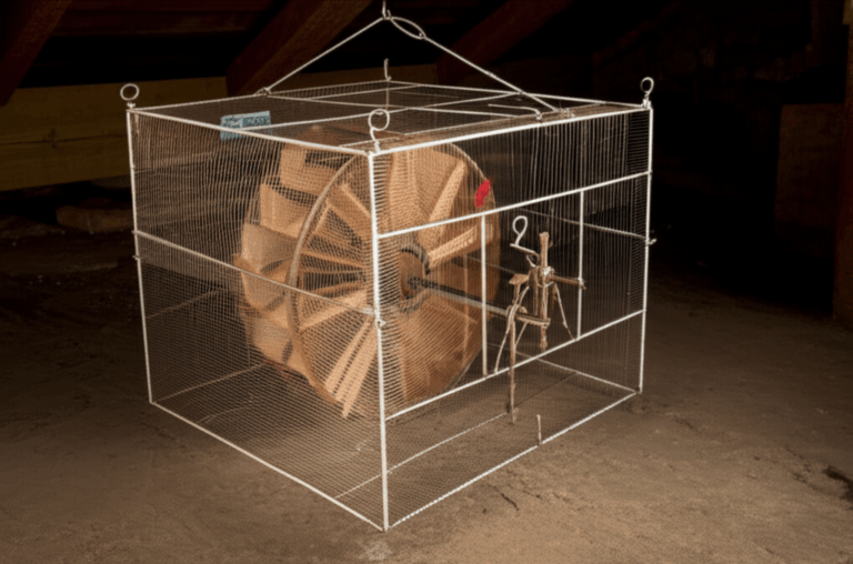 Why is it Called a Squirrel Cage Rotor Unraveling the Motor s Unique Name